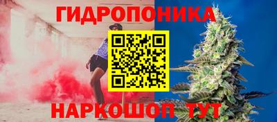 сатива Берёзовский